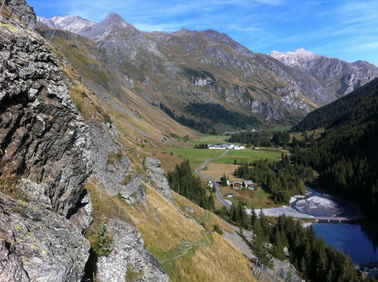 Campanule La Plagne
